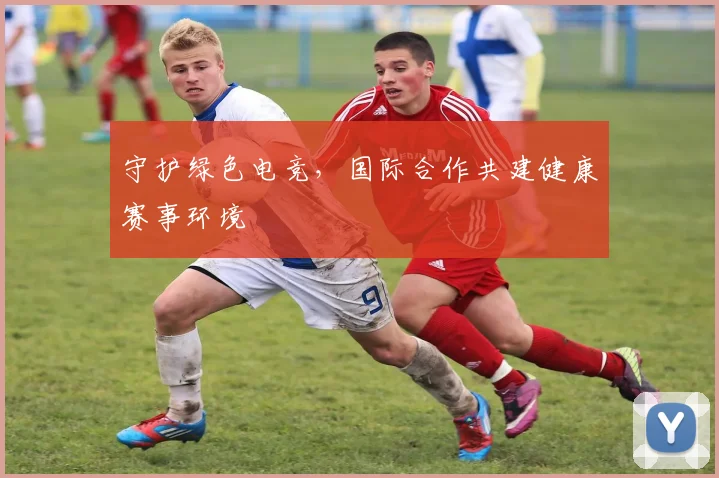 守护绿色电竞，国际合作共建健康赛事环境